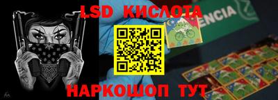 прущие грибы Кандалакша