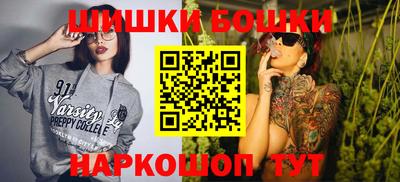 прущие грибы Кандалакша