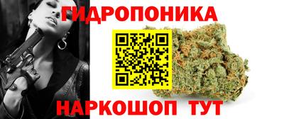 дмт Канаш