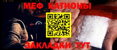 прущие грибы Кандалакша