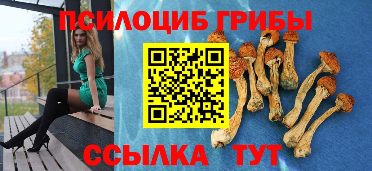 Галлюциногенные грибы мицелий Майкоп